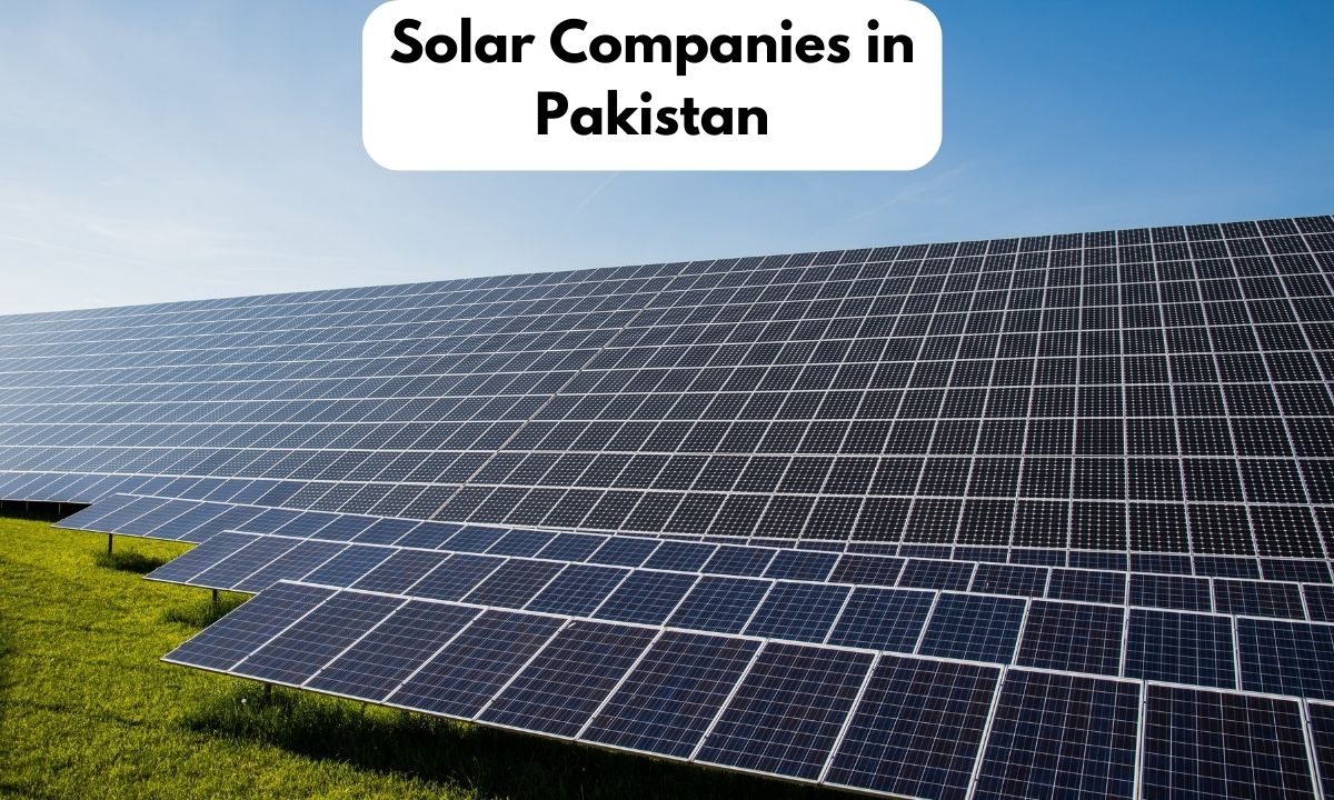 Solar Companies in Pakistan