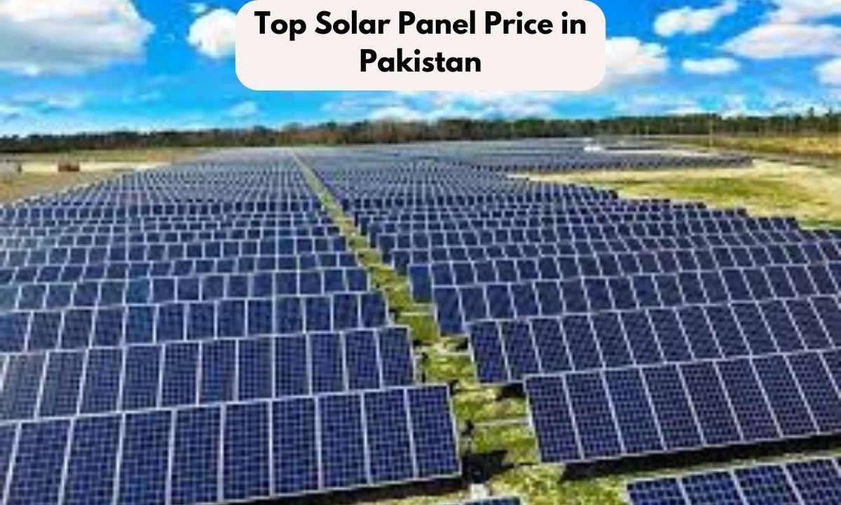 Top 10 Solar Panels in Pakistan (Latest Guide)